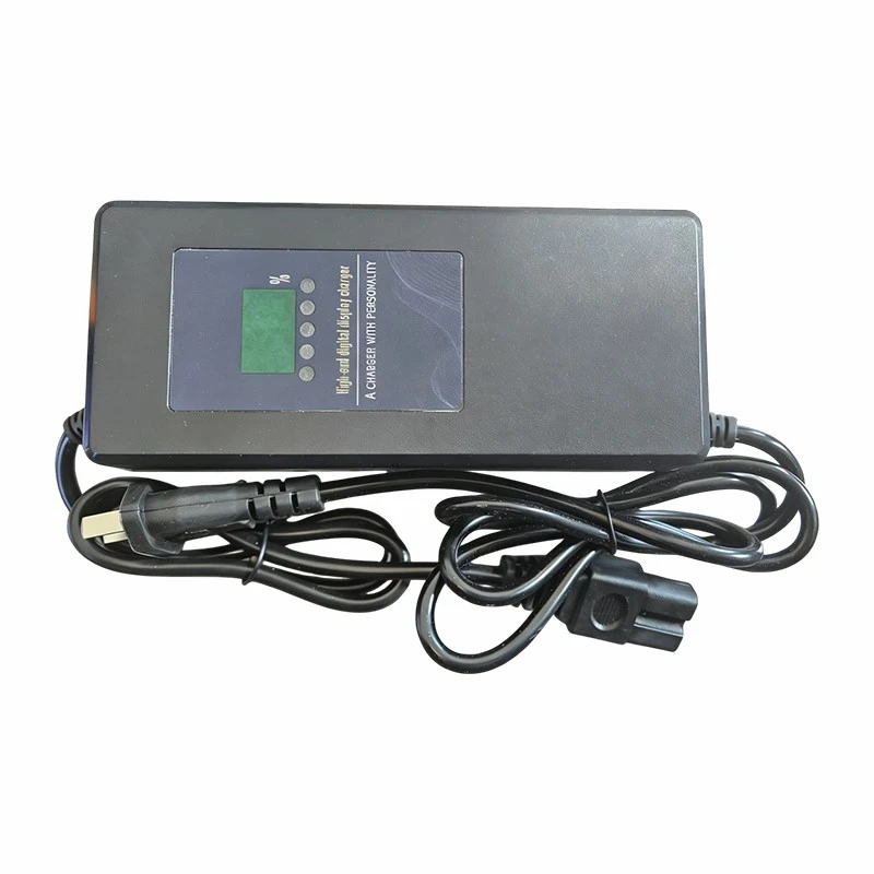 Ac Dc Lipo Charger price